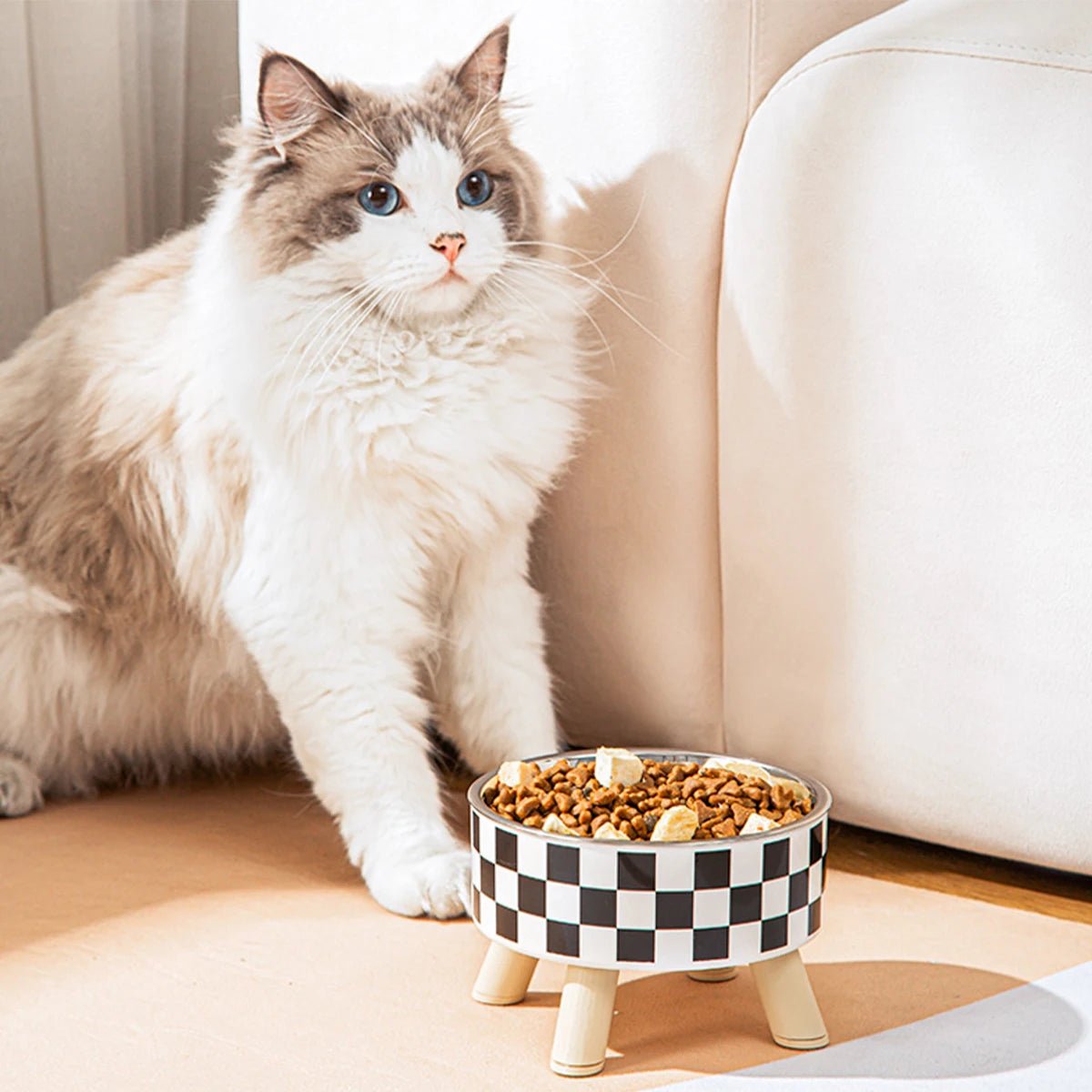 Gamelle pour chat - BOLNOIRETBLANCPOURCHAT™ - CHATS