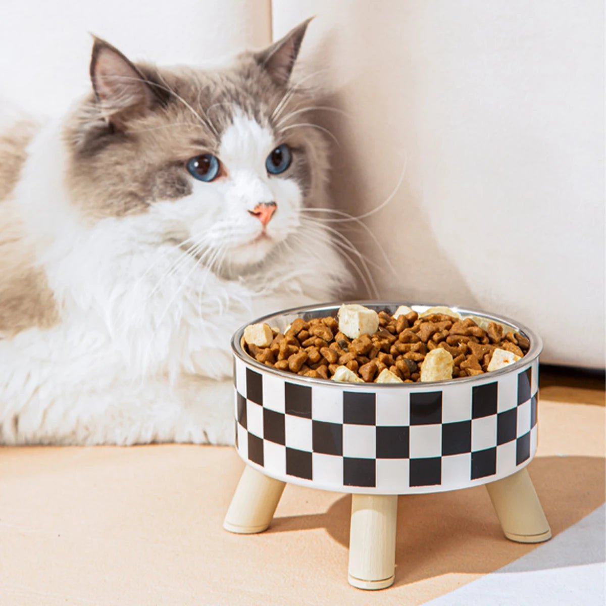 Gamelle pour chat - BOLNOIRETBLANCPOURCHAT™ - CHATS