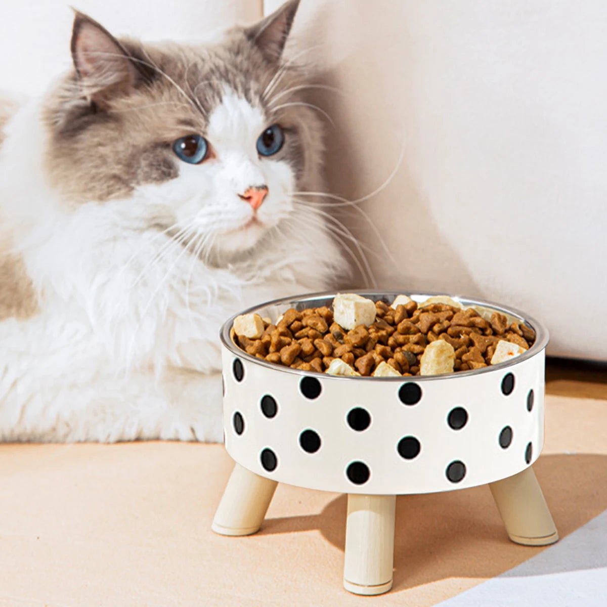 Gamelle pour chat - BOLNOIRETBLANCPOURCHAT™ - CHATS