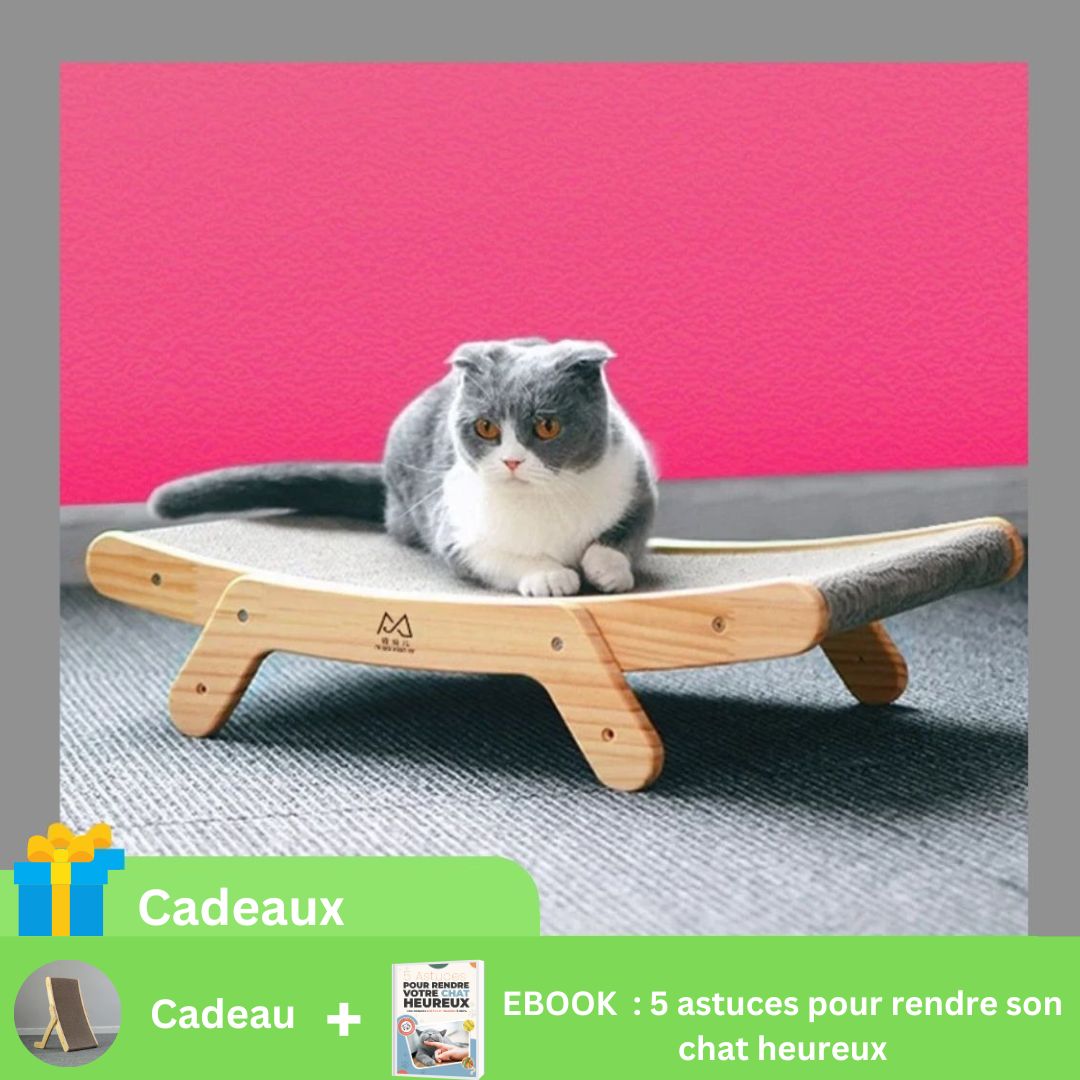 GRATTOCHAT - Griffoir chatâą - CHATS