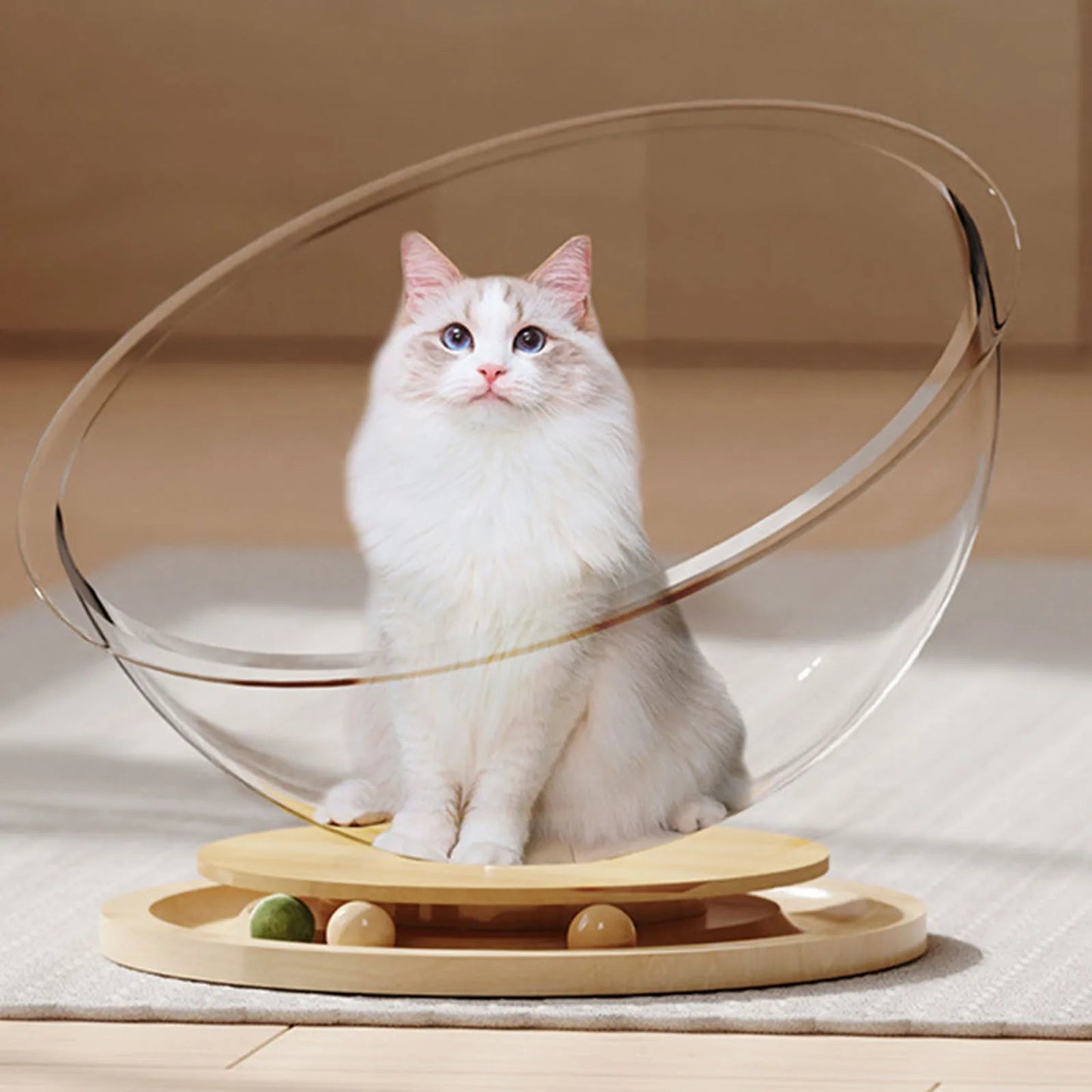 Hamac à chat - CAPSULACHAT™ - CHATS