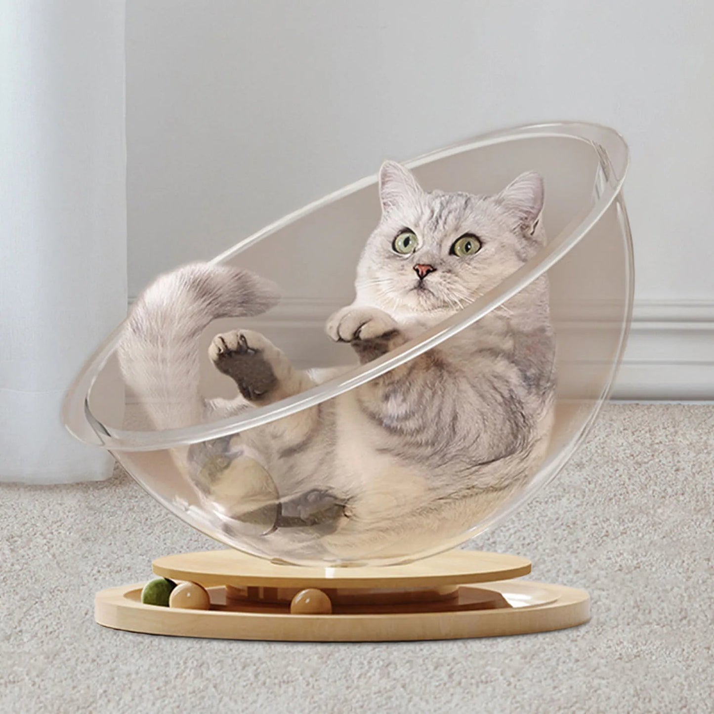 Hamac à chat - CAPSULACHAT™ - CHATS