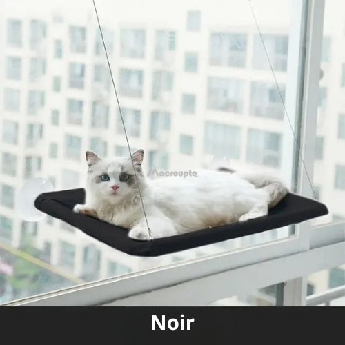Hamac pour chat fenetre - HAMACFENETRE™ - CHATS