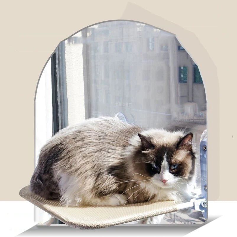 Hamac pour chat fenetre - NIDSUSPENDUPOURCHAT™ - CHATS