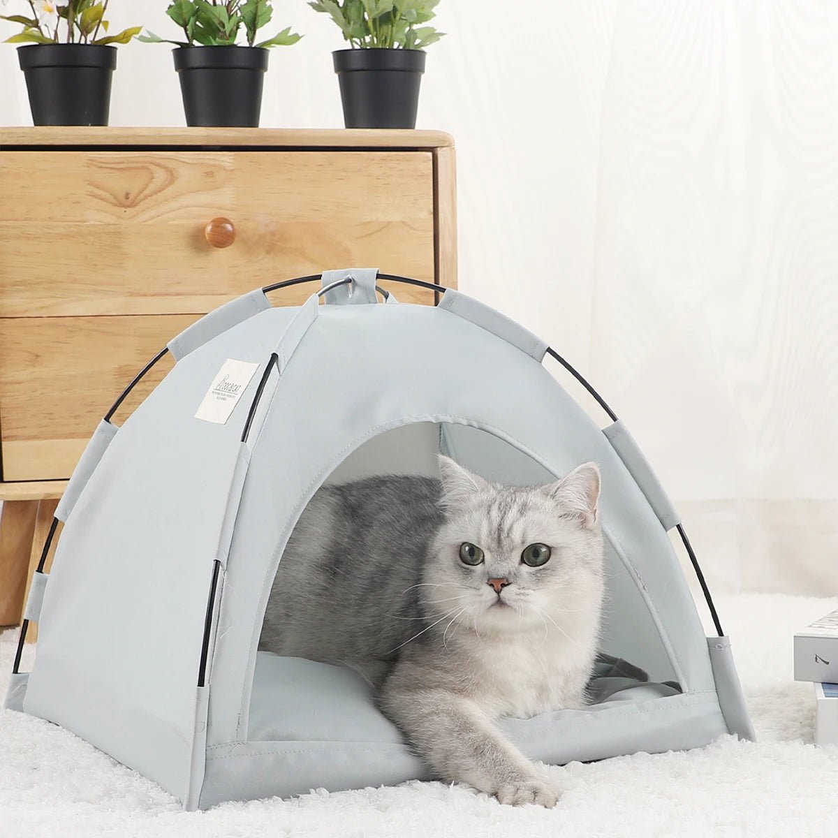 Niche pour chat - Un havre de paix