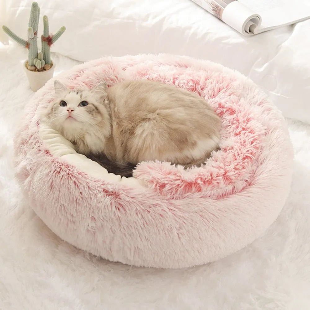 PELUCHAT - Coussin chat - Caractéristiques - CHATS