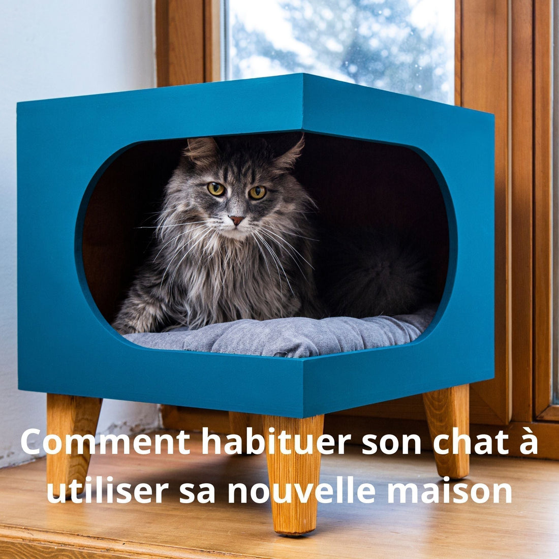 Maison chat : Comment habituer son chat à utiliser sa nouvelle maison ?