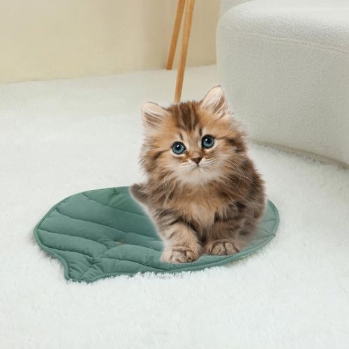 Tapis chauffant pour chaton : le confort idéal pour votre petit félin