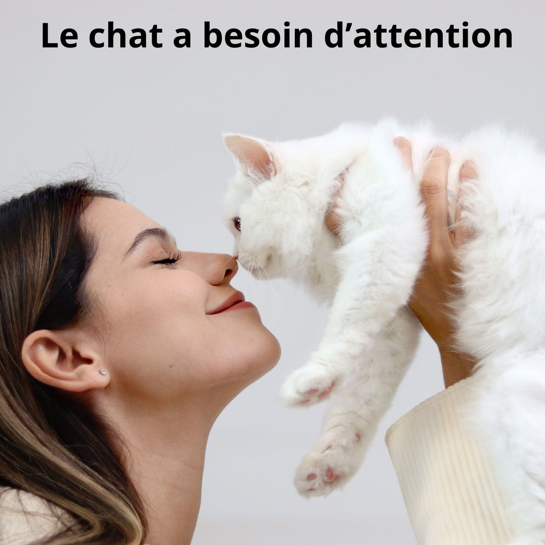 Le minimum essentiel pour assurer le bien-être et le bonheur de votre chat à la maison