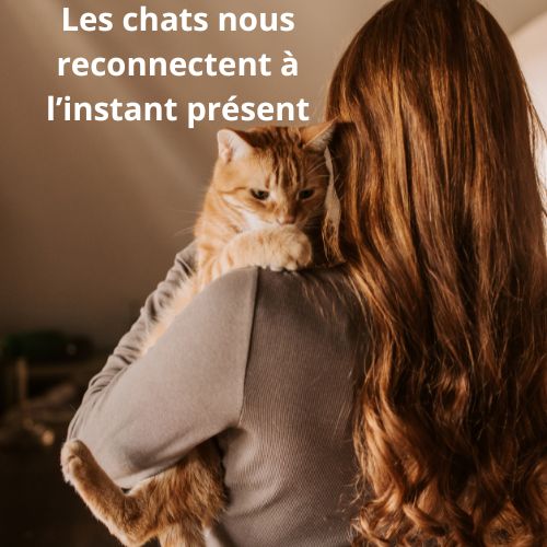 Les bienfaits relaxants des chats : un antidote naturel aux difficultés du quotidien