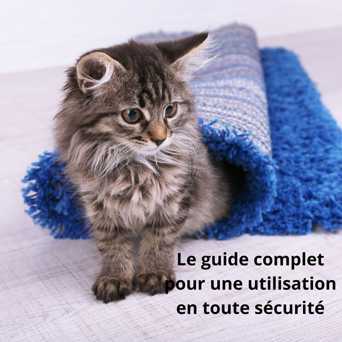 Comment installer correctement un tapis chauffant pour chaton ?