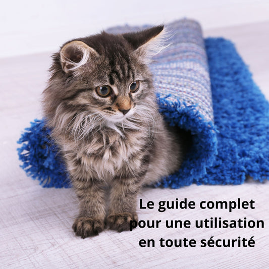 Comment installer correctement un tapis chauffant pour chaton ?