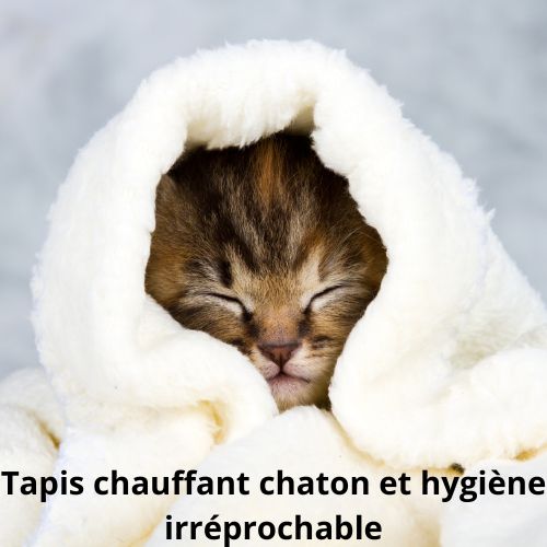 Comment nettoyer correctement un tapis chauffant chaton ?