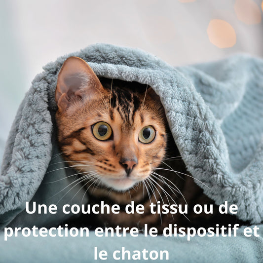 Où placer une couverture chauffante pour chaton ?