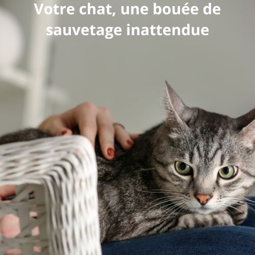 Chat et burn-out