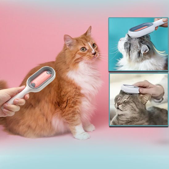 Brosse et peigne pour chat : quel est le produit le plus adapté pour votre chat ? - CHATS