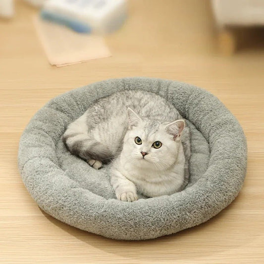 Coussin et panier chat : Quel est le meilleur ? - CHATS
