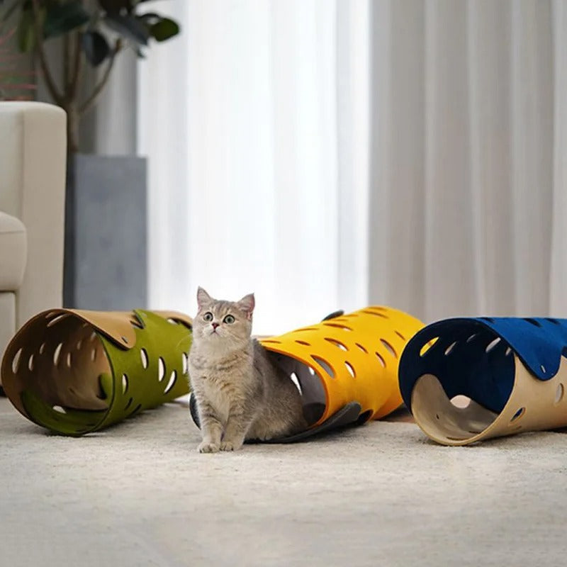 Les meilleurs tunnels pour chat : Divertissement et confort pour votre félin