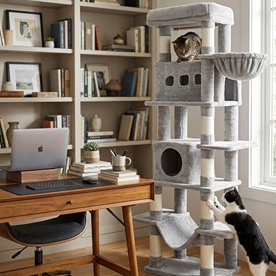 Arbre a chat - Arbre a chat avec espaces repos pour chaque humeur