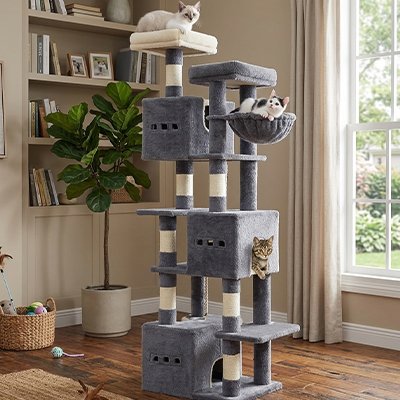 Arbre a chat - Des espaces douillets qui invitent à la détente absolue
