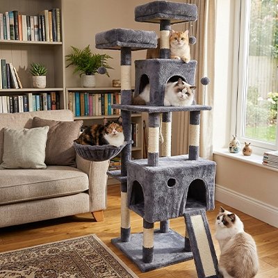 Arbre a chat - Une structure multi-niveaux répond parfaitement à ces besoins instinctifs