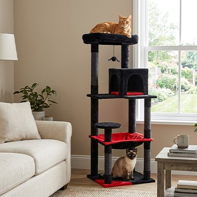 Arbre a chat - Vous profitez d'une tranquillité d'esprit totale