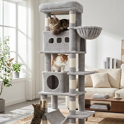 Arbre a chat - Élégance discrète dans votre salon