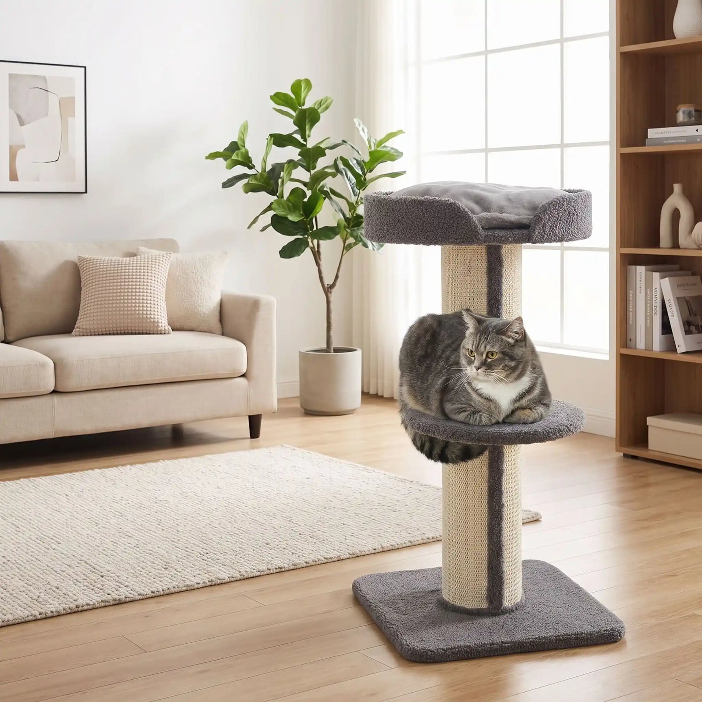 Arbre à chat en bois - 100% Sisal naturel