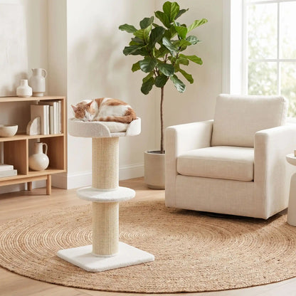 Arbre à chat en bois - Design harmonieux avec votre intérieur