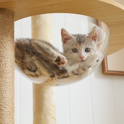 Arbre a chat en bois - Parce que votre chat mérite son sanctuaire personnel