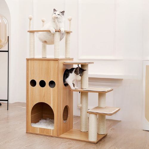 Arbre à chat - Caractéristiques