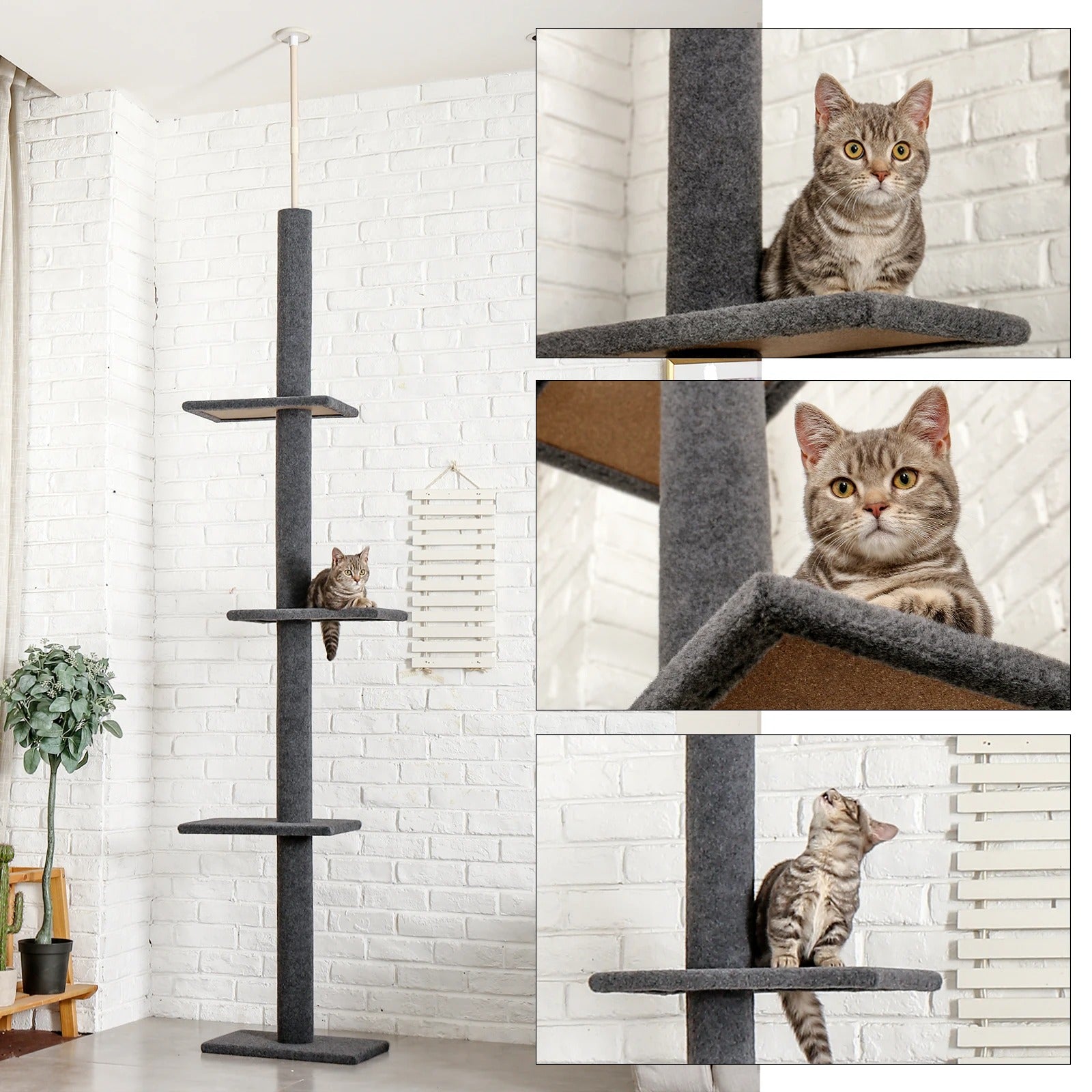 Arbre à chat - Faites de l'arbre le son nouvaeu royaume tout en préservant votre intérieur