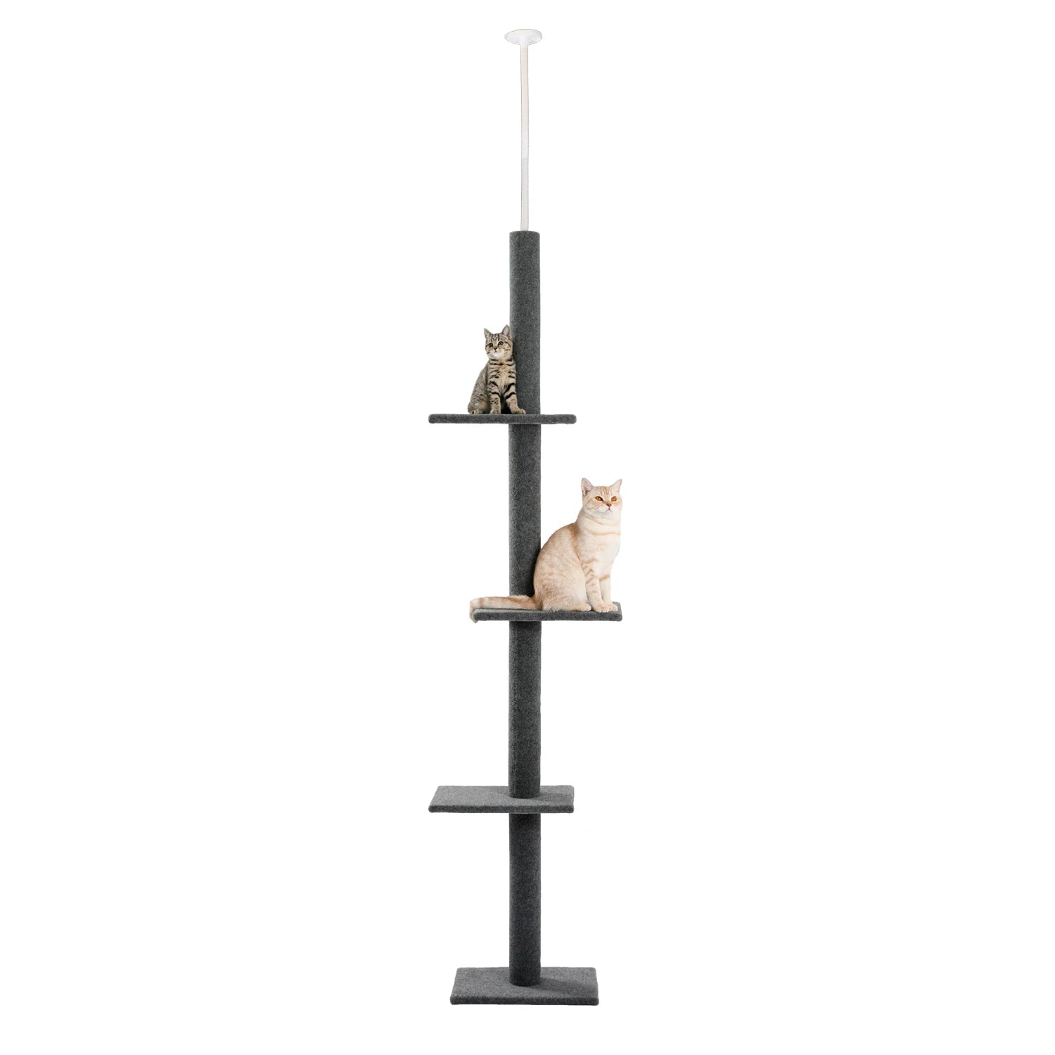 Arbre à chat - Noir