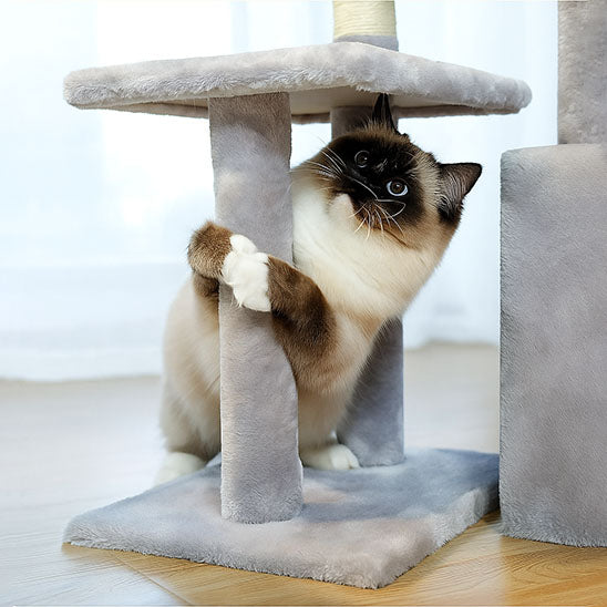 Arbre à chat bois - Caractéristiques