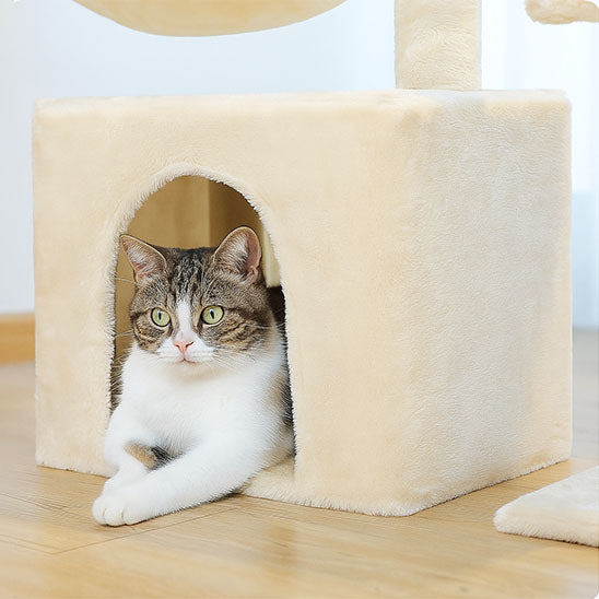 Arbre à chat bois - Idéal pour les chats d'intérieur
