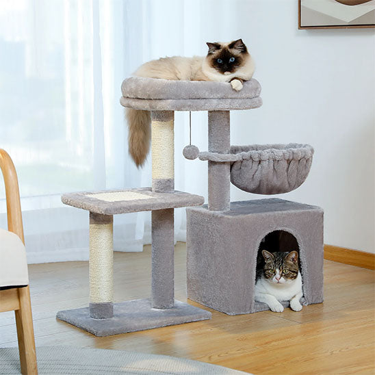 Arbre à chat bois - Investissement bien-être pour votre félin