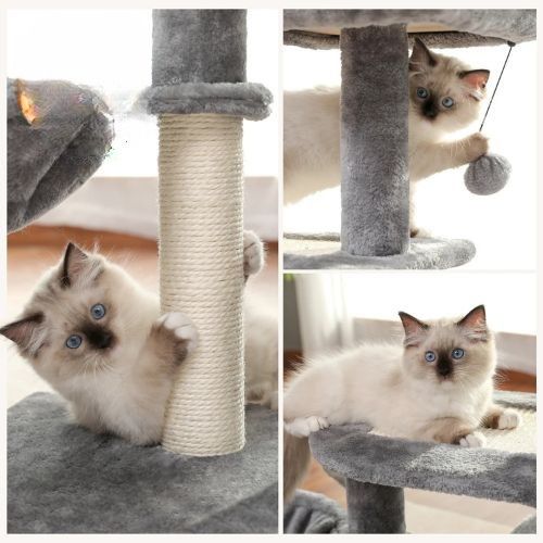 Arbre à chat bois - Préservez votre intérieur