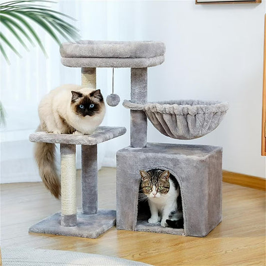 Arbre à chat bois - Un refuge naturel