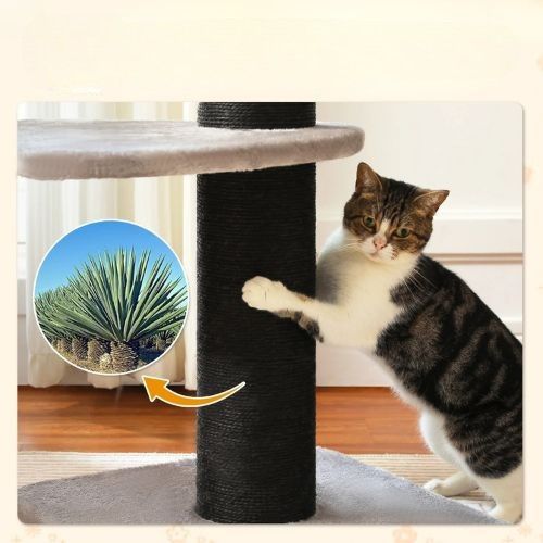 Arbre à chat en bois - 100% Sisal naturel
