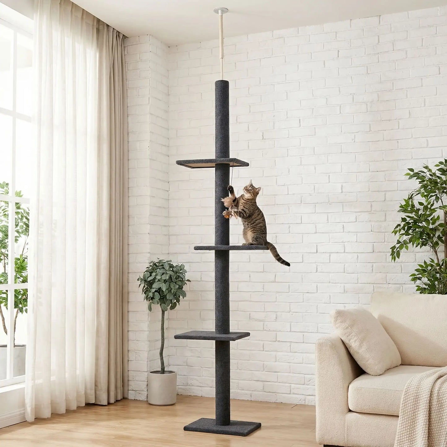 Arbre à chat en bois - CACTUSPOURCHAT™ - CHATS - Noir