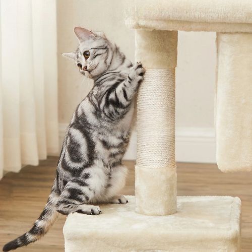 Arbre à chat en bois - Préservez votre intérieur
