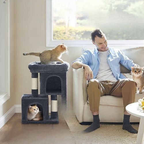 Arbre à chat en bois - Stimuler l'instinct naturel de votre félin