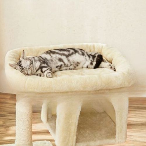 Arbre à chat en bois - Un refuge douillet pour votre félin
