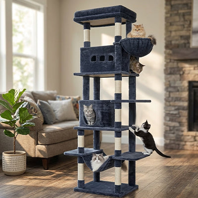 Arbre à chat xxl - Son royaume personnel