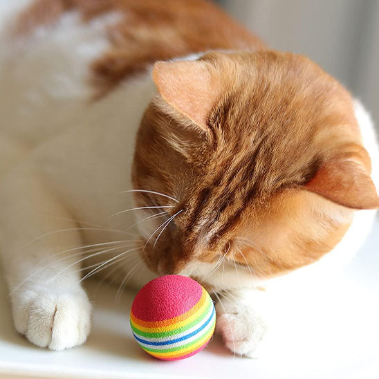 Balle pour chat - Un allié précieux contre l'obésité féline