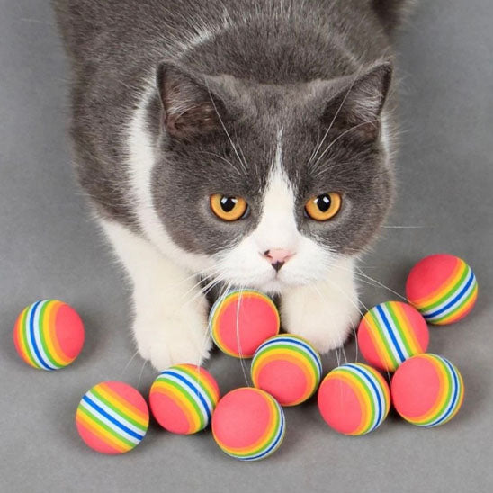 Balle pour chat  Le jouet idéal pour stimuler votre félin au quotidien