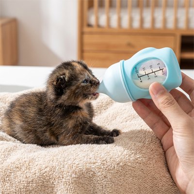 Biberon chaton - Une tétine pensée pour leur fragilité naturelle