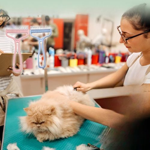 Brosse chat - Confort_sans_Stress