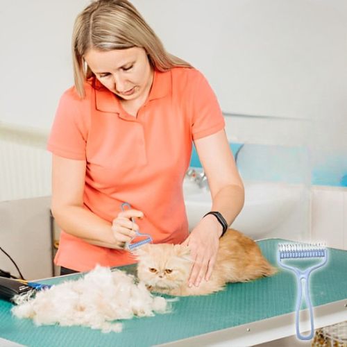 Brosse chat - Utilisation_pour_des_résultats_optimaux