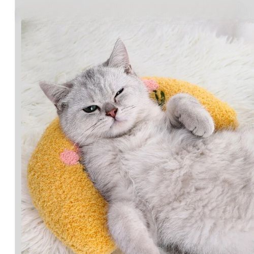 COUSSIN CHAT DOUX ET CHAUD